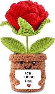 Ich Liebe Dich Geschenke für Frauen Männer, Geschenk für Paar- Pocket Hug Rose,