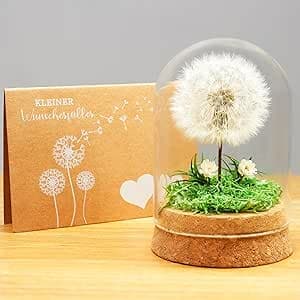 Wunscherfüller Pusteblume im Glas - Besondere Geschenkidee, Geburtstagsgeschenk